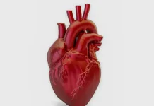 A cada 72 segundos, uma pessoa morre por doença cardiovascular no país