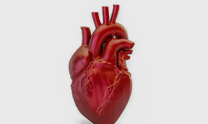 a-cada-72-segundos-uma-pessoa-morre-por-doenca-cardiovascular-no-pais-1792162809
