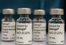 Dengue: 3 milhões de adolescentes estão com vacinação incompleta