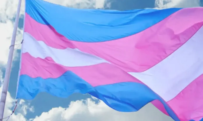 distrito-federal-tera-mutirao-para-mudanca-de-nome-de-pessoas-trans-1791489605