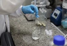 Doença de Newcastle: protocolos sanitários são cumpridos em SC