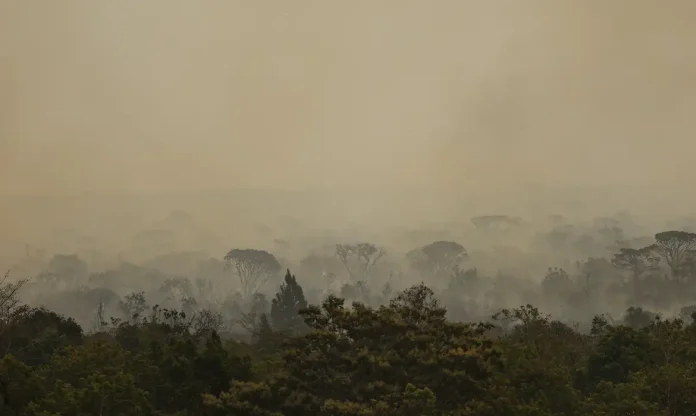 forca-nacional-do-sus-apoia-atendimentos-no-amazonas-apos-incendios-1792605612