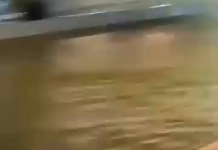 Forte correnteza arrasta pessoa em Cabo San Lucas durante chuvas intensas