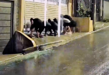 Furto de moto em Mauá durante forte chuva na Rua Manoel Alves Ferreira