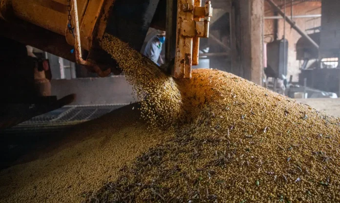 producao-brasileira-de-graos-deve-aumentar-apesar-do-el-nino-1792080008