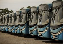 TRE-BA determina retomada integral da frota de ônibus em Salvador